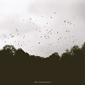 vir'/majdanek waltz split